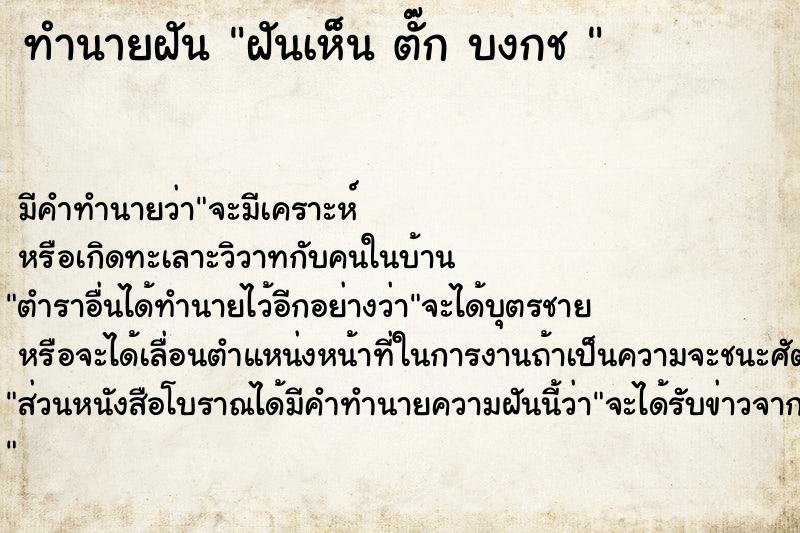 ทำนายฝันทำนายฝันฝันเห็นตั๊กบงกช